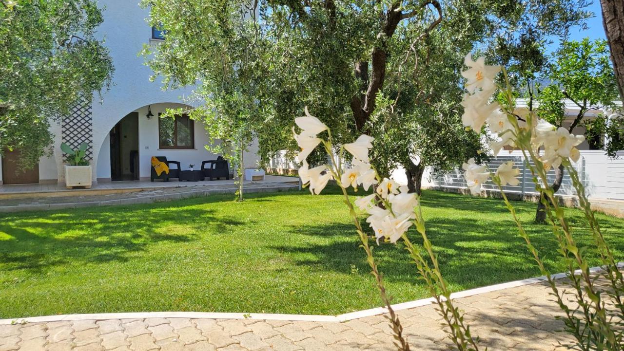 Hotel Residence Torre Del Porto Mattinata Exterior photo
